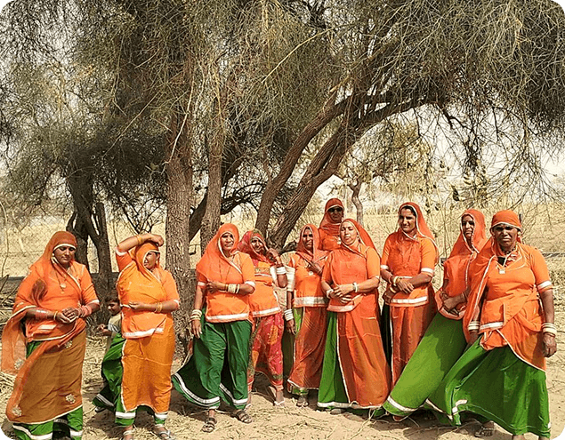 Marwari women under a desert tree